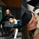 VIDEO: Perrito de asistencia se «gradúa» de la maestría junto a su dueña Perrito se "gradúa" de la maestría junto con su dueña