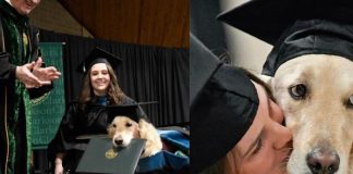 Perrito se "gradúa" de la maestría junto con su dueña