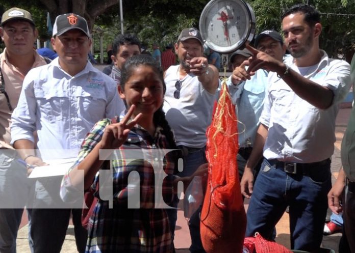 Realizan con éxito el concurso de la mejor gallina en Boaco