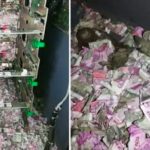 «Rata» entró a un cajero automático y se comió casi 83 millones de pesos Encuentran ratón dentro de un cajero electrónico