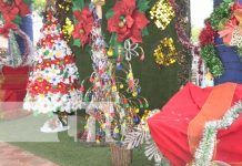 Niñez de Estelí se luce con árboles navideños hechos a base de reciclaje Foto: Árboles navideños hechos con reciclaje en colegios de Estelí / TN8