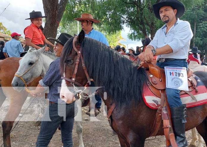 Foto: Grandioso ambiente en el desfile hípico en Somoto / TN8