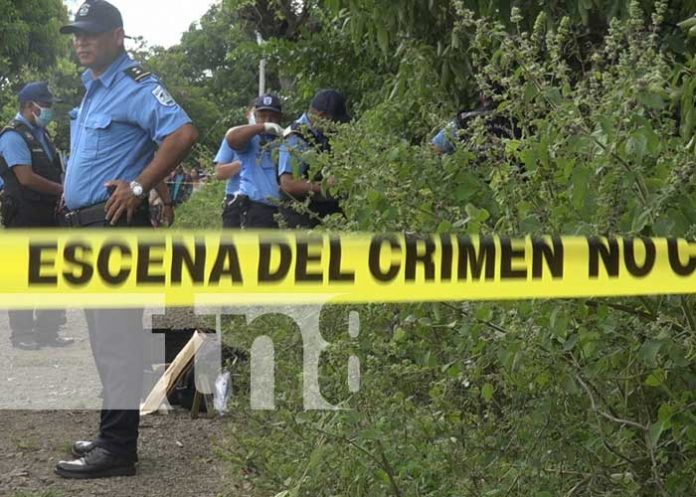 taxi-crimen-1 Foto: Investigan si dos taxistas fueron los asesinos de una comerciante en León / TN8