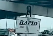 Por exhibicionista muere hombre al chocar contra un puente en Texas Por exhibicionista muere hombre al chocar contra un puente en Texas