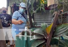 Eliminación y destrucción de criaderos en el barrio Mirna Ugarte, Managua Foto: Abatización en viviendas del barrio Mirna Ugarte, en Managua / TN8