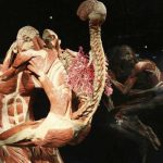 "Museo del Ser Humano": El más terrorífico y se encuentra en Colombia