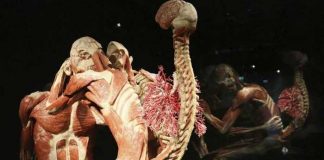 "Museo del Ser Humano": El más terrorífico y se encuentra en Colombia