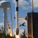 SpaceX pospone nuevamente el lanzamiento del módulo que posará en la Luna SpaceX pospone nuevamente el lanzamiento del módulo que posará en la Luna