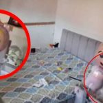 ¡Qué! Espíritu hace reir a bebé y queda captado en video ¡Qué! Espíritu hace reir a bebé y queda captado en video