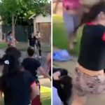 Video: Madre arma tremendo pleito por defender a su hijo del bullying