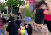 Video: Madre arma tremendo pleito por defender a su hijo del bullying Video: Madre arma tremendo pleito por defender a su hijo del bullying