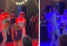 “Ternuritas”: Perritos bailan con sus dueños en su boda
