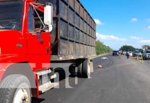 Imprudencia peatonal deja como saldo a un fallecido en la Carretera Panamericana Norte Imprudencia peatonal deja como saldo a un fallecido en la Carretera Panamericana Norte
