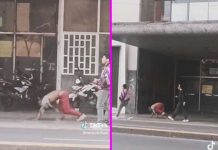El “animal”, hombre es visto caminando en “4 patas” El “animal”, hombre es visto caminando en 4 patas