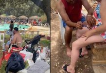 ¡Sin vergüenza! Pareja se depilan mutuamente sus partes en piscina ¡Sin vergüenza! Pareja se depilan mutuamente sus partes en piscina