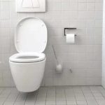 ¡Impresionante! Inodoro electrónico es capaz de detectar males gastrointestinales ¡Impresionante! Inodoro electrónico es capaz de detectar males gastrointestinales