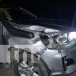 Animales en las carreteras de Jalapa continúan siendo un peligro Foto: Animales en las carreteras de Jalapa continúan siendo un peligro / TN8