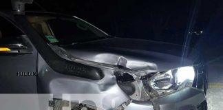Foto: Animales en las carreteras de Jalapa continúan siendo un peligro / TN8