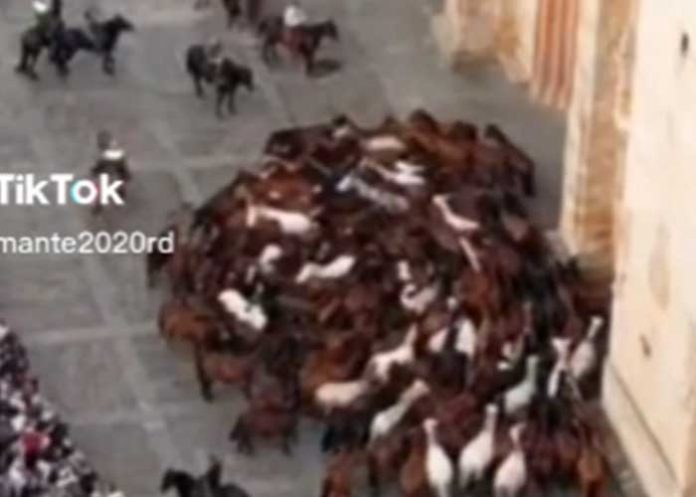 1 ¡Aviso del apocalipsis! Captan a caballos dando vueltas en círculos (Video)