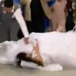 Novia se cae en la entrada nupcial con todo y el novio