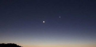 Todo lo que no sabías sobre Venus