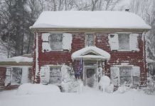 Tormenta invernal de nieve paraliza a EE.UU.: más de 30 muertes Tormenta invernal de nieve paraliza a EE.UU.: más de 30 muertes