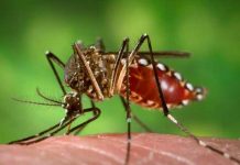 Resumen de la situación epidemiológica en Nicaragua