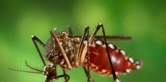 Resumen de la situación epidemiológica en Nicaragua