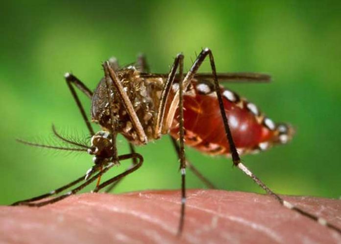 Resumen de la situación epidemiológica en Nicaragua