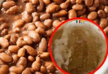 ¿Burla o milagro? Encuentran “silueta” de la Virgen en sopa de frijoles ¿Burla o milagro? Encuentran “silueta” de la Virgen en sopa de frijoles