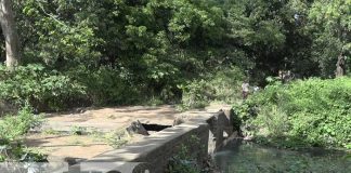 Foto: Hombre se ahoga al caer en la presa “El Clavo” en León / TN8
