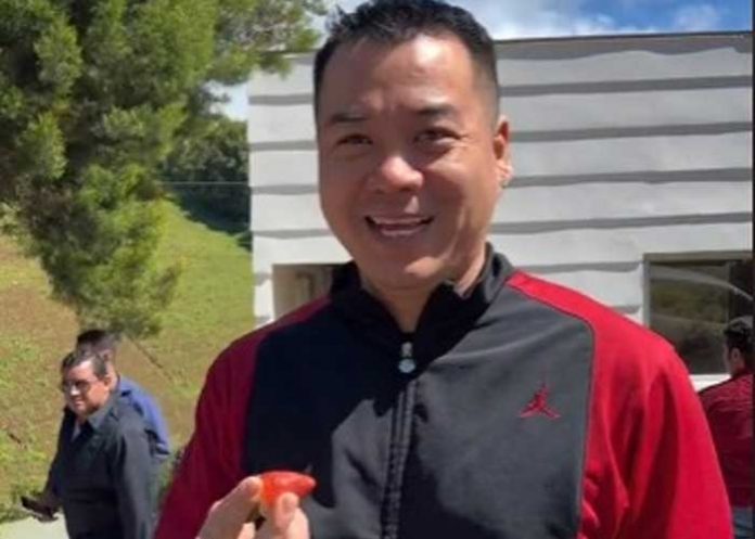 1 La fresa prohibida: Toshi y la controversia por su contenido en TikTok