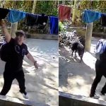 ¡No perdonan nada! Ladrón roba calzones de un tendedero ¡No perdonan nada! Ladrón roba cazones de un tendedero