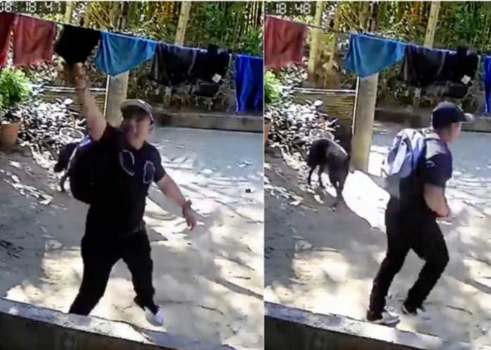 ¡No perdonan nada! Ladrón roba cazones de un tendedero