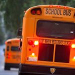 ¡Luto y dolor! Niño de 5 años es arrollado por autobús escolar en Nueva York Arrollado por un autobús escolar al norte de Nueva York