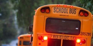 Arrollado por un autobús escolar al norte de Nueva York