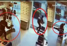 “Para tonto no se estudia”, ladrón choca contra puerta “invisible” en su huída “Para tonto no se estudia”, ladrón choca contra puerta “invisible” en su huída
