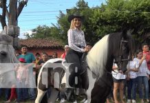 Familias disfrutan de desfile Hípico en León Foto: Más de 150 caballistas participaron de un fabuloso desfile hípico en la ciudad de León / TN8