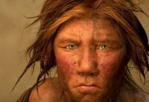 ¿Cuál es el origen de la humanidad según la ciencia? ¿Cuál es el origen de la humanidad según la ciencia?