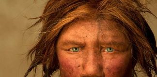 ¿Cuál es el origen de la humanidad según la ciencia?