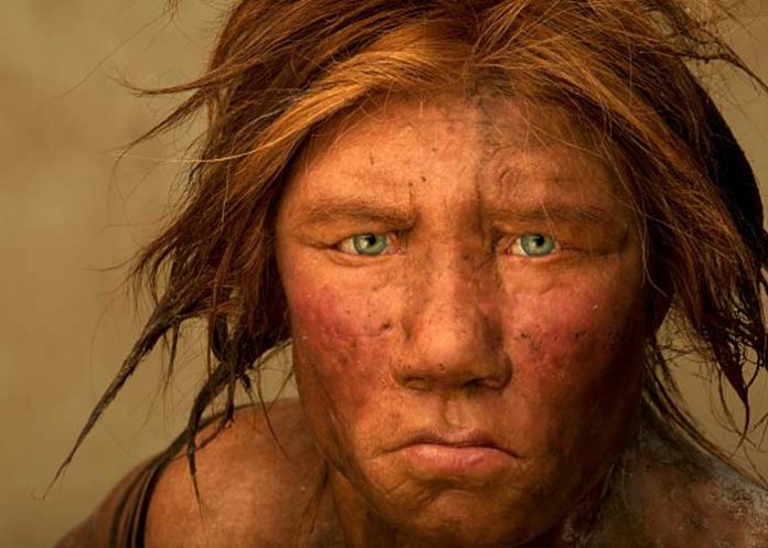 2 ¿Cuál es el origen de la humanidad según la ciencia?