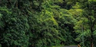 Foto: Motorizado muere en accidente de tránsito en la carretera La Dalia, Matagalpa / Cortesía
