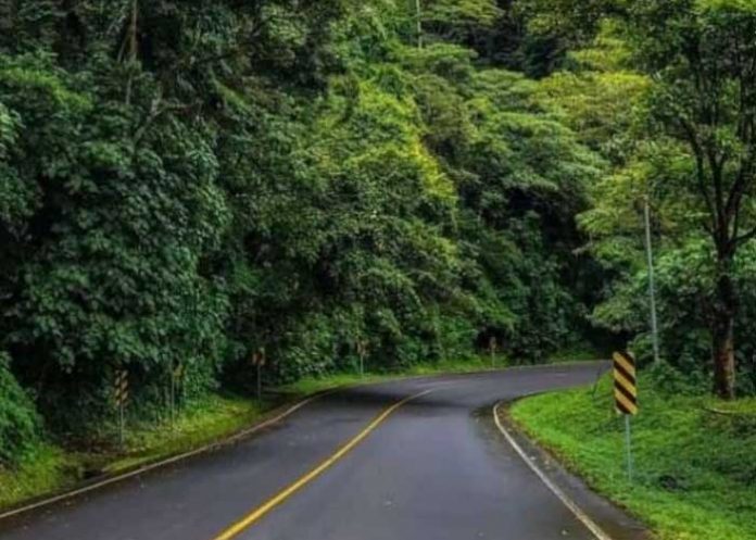 Foto: Motorizado muere en accidente de tránsito en la carretera La Dalia, Matagalpa / Cortesía