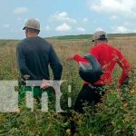 Encuentran huesos de caballos en predio baldío del km 29 de la Ctra. Sur Encuentran huesos de caballo en predio baldío del km 29 de la Ctra. Sur
