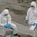 ADN con más de 2 millones de años es descubierto en Groenlandia