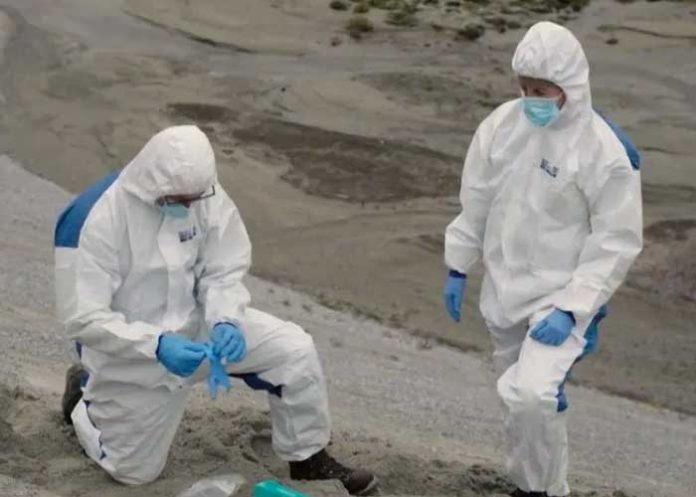 3 ADN con más de 2 millones de años es descubierto en Groenlandia