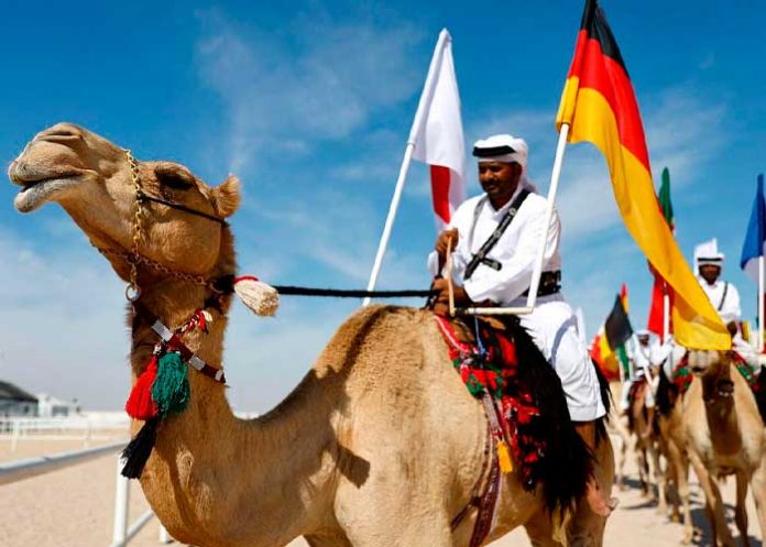 ¡Dios mío!: Registran un brote de gripe de camello