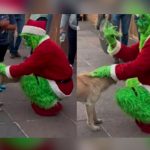 Chatel saca de sus casillas a "El Grinch" en México