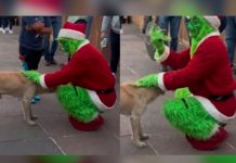 Chatel saca de sus casillas a «El Grinch» en México Chatel saca de sus casillas a "El Grinch" en México