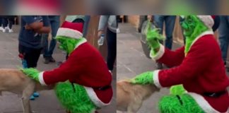 Chatel saca de sus casillas a "El Grinch" en México